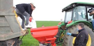 ბოლნისის მუნიციპალიტეტში საგაზაფხულო, სასოფლო-სამეურნეო სამუშაოები აქტიურად მიმდინარეობს