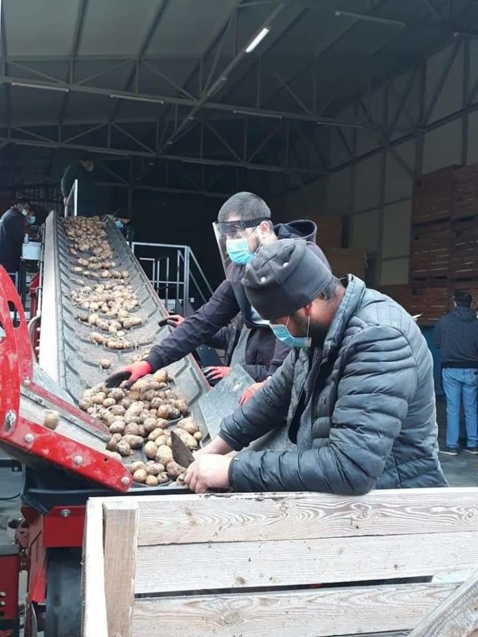 FB_IMG_1587893425923