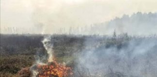 ქობულეთში ხანძარია