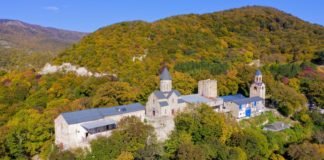 მარტყოფის მამათა მონასტერში მცხოვრებ ახალგაზრდა კაცს კორონავირუსი არ დაუდასტურდა