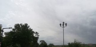 ძლიერი ქარის გამო რუსთავის ცენტრალური პარკი დროებით დაიკეტა