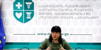 საიტზე მასირებული კიბერშეტევა მიმდინარეობს – გაბუნია booking.moh.gov.ge-ზე