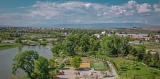 “ვაჩუქოთ რუსთავს ჟანგბადი”- გამწვანების პროექტში მონაწილეობის მიღება მოქალაქეებს შეუძლიათ