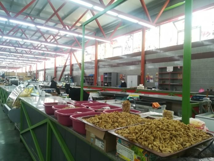 96075980_2646617542224419_4316172640462045184_n