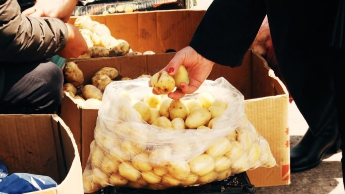 96139784_248832846199924_3048061216783073280_n