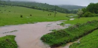 უხვი ნალექის გამო, ლაგოდეხში რამდენიმე სოფელი დაიტბორა