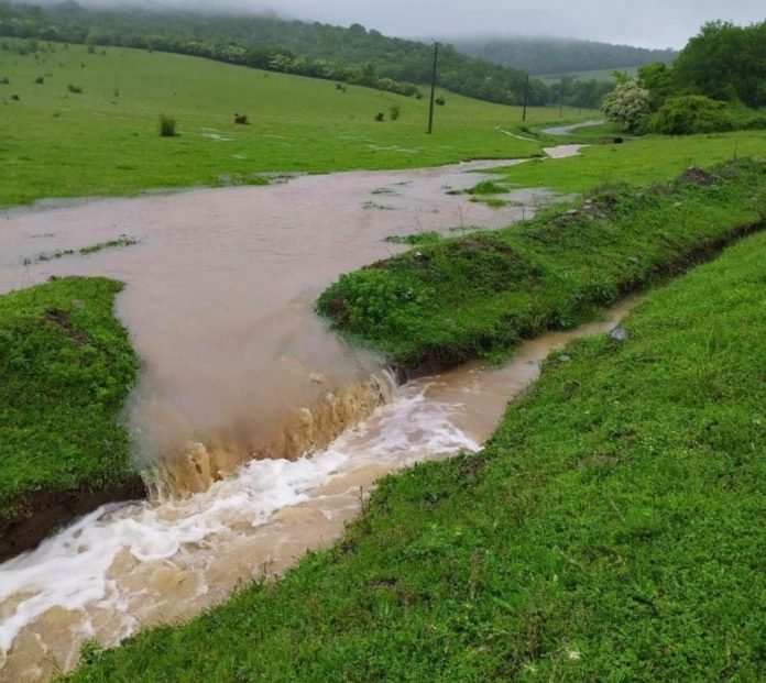 96587069_2351909608443276_2867329375219482624_n