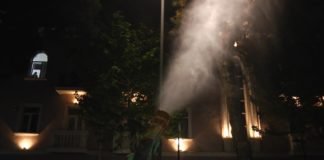 რუსთავში ხეების შეწამვლის სამუშაოები ჩატარდა