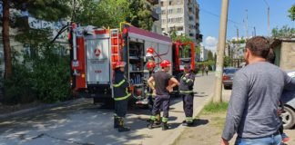 მე-17 მიკრორაიონში სიგარეტის ნამწვის გადმოგდების შედეგად, ხე დაიწვა