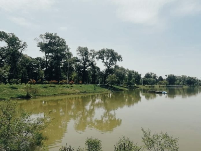 98123631_624546908138044_4377976635735932928_n