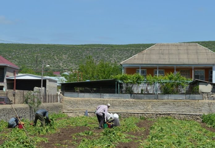 98195102_3148696658524765_6486829483859902464_n