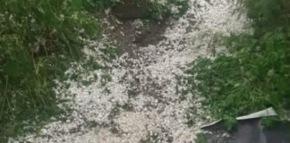 კახეთში რამდენიმე სოფელი დაისეტყვა