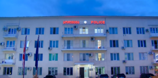 ოჯახში ძალადობისა და ოჯახის წევრის მიმართ მუქარის ბრალდებით 1 პირი დააკავეს