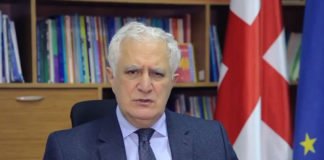 ამირან გამყრელიძე: ამ ეტაპზე საქართველო მწვანე ზონად განიხილება