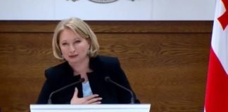 ეკონომიკის მინისტრი-სილამაზის სალონები ჩემთვისაც მტკივნეული საკითხია