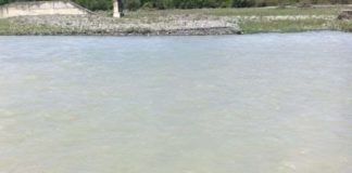 ყვარელში სახნავ-სათესი მიწები და ვენახები დაიტბორა