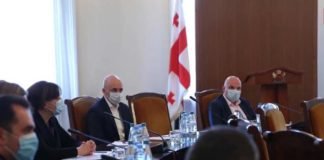 საქართველოს საკონსტიტუციო მოსამართლედ ვასილ როინიშვილი დაინიშნა