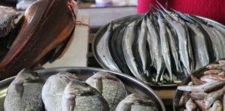 წყლის ორგანიზმების მოშენება შესაბამისი კანონმდებლობით დარეგულირდება