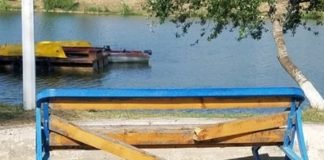 რუსთავის პარკში ვანდალიზმის ფაქტი დაფიქსირდა