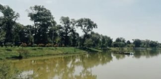 რუსთავის პარკში 19:00 საათიდან ველოსიპედით გადაადგილება აიკრძალა