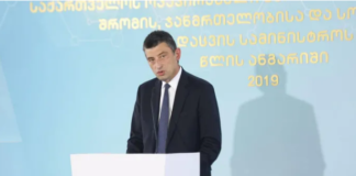 პრემიერი-სიამაყით შემიძლია ვთქვა, რომ ჯანდაცვის სისტემამ წარმატებით გაართვა თავი გამოწვევას