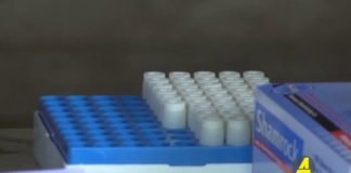 xronika ქრონიკა აზერბაიჯანულ ენაზე 22-06-2020