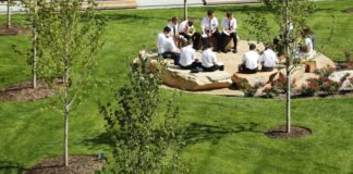 მთავრობის გადაწყვეტილებით, დასაშვები ხდება ღია სივრცეში სემინარებისა და ტრენინგების ჩატარება