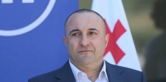 წალკისა და დმანისის მაჟორიტარი-საკონსტიტუციო ცვლილებებს მხარს არ ვუჭერ