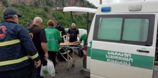 მლეთაში ლომისობაზე მამაკაცი გარდაიცვალა