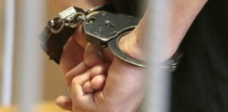 პირს, რომელმაც 16 წლის გოგო მანქანით გაიტანა, პატიმრობა მიესაჯა