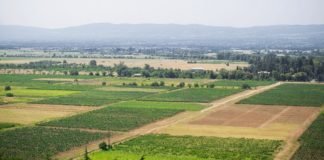 თეთრიწყაროსა და გარდაბანის მუნიციპალიტეტებში მიწის რეგისტრაციის ახალი ეტაპი იწყება