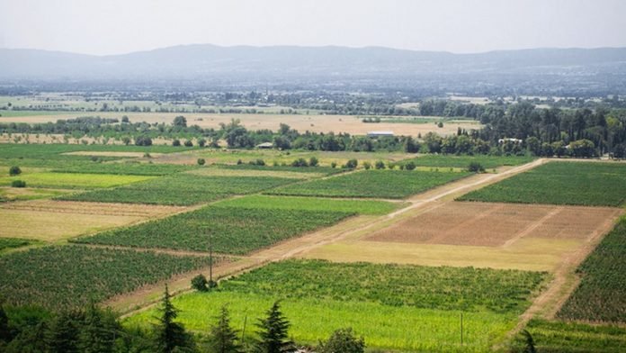 მიწის-რეგისტრაცია-Copy