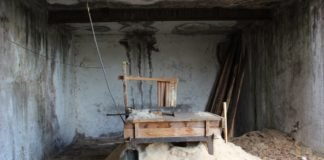 დაურეგისტრირებელი სახერხი საამქრო გამოავლინეს