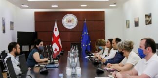 გარემოს დაცვის მინისტრი ჯგუფის “გავიგუდეთ” წევრებს შეხვდა