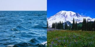 ზღვა თუ მთა- სპეციალისტების რეკომენდაციები