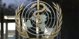 ჯანმოს ექსპერტმა ქართველი კოვიდპაციენტების მართვის პროცესი შეისწავლეს