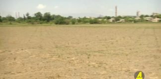 xronika ქრონიკა აზერბაიჯანულ ენაზე 15-07-2020