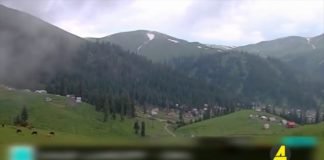 Xronika ქრონიკა აზერბაიჯანულ ენაზე 16-07-2020