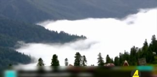 Xronika ქრონიკა აზერბაიჯანულ ენაზე 24-07-2020