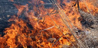 წალენჯიხაში საცხოვრებელი სახლის დაწვის შედეგად ადამიანი დაიღუპა