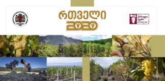 მთავრობის გადაწყვეტილებით, წელს რთველში სუბსიდირების პროგრამაში 20.000-მდე მევენახე ჩაერთვება