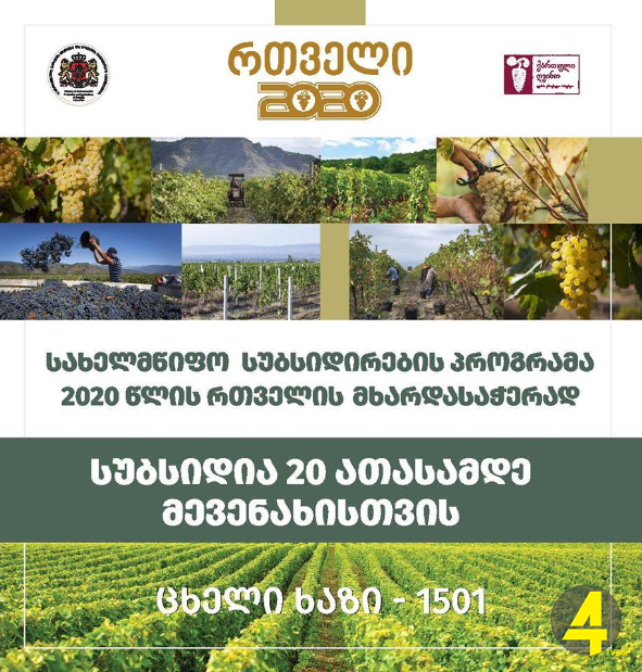 117883576_2657764017816251_463867365407460791_n