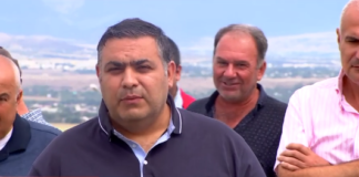 რუსთავში ავტოდილერებმა აქცია გამართეს