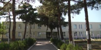 როდის ჩატარდება რუსთავის ბაღებში ბავშვთა ელექტრონული განმეორებითი რეგისტრაცია?!