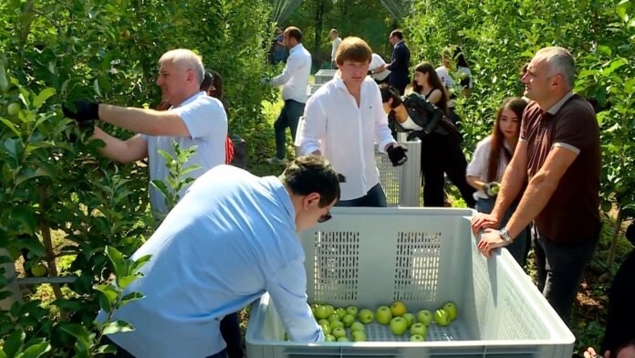 118579386_308040850465615_8405501537163447534_n