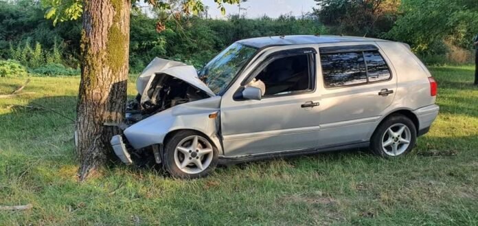 1596726123-ტელავი