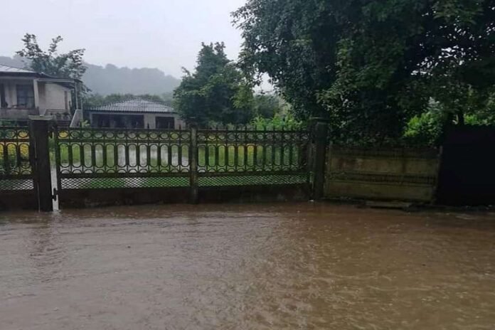 67574953_2393937854055854_6889072962339602432_n