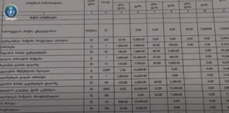 ქვემო ქართლში ტენდერებში ყალბი დოკუმენტების დამზადება-გამოყენებისთვის პირი პასუხისგებაში მისცეს