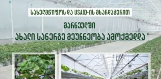 მარნეულში ახალი სანერგე მეურნეობა „მზა ჩითილი“ ამოქმედდა