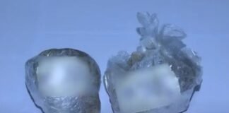 პოლიციამ ქვემო ქართლში 2 კილოგრამამდე ნარკოტიკული საშუალება ამოიღო(+ვიდეო)